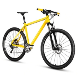 Bicycle (Requires 1 Additional Movers)